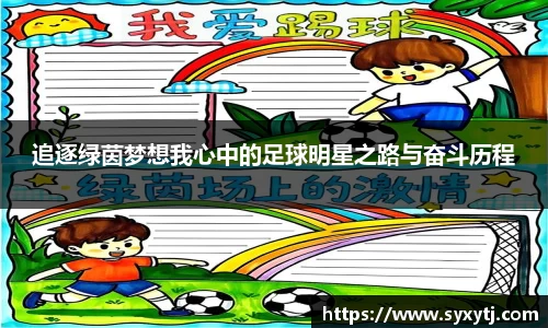 追逐绿茵梦想我心中的足球明星之路与奋斗历程